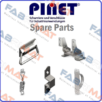 Pinet logo