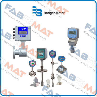 Badger Meter logo