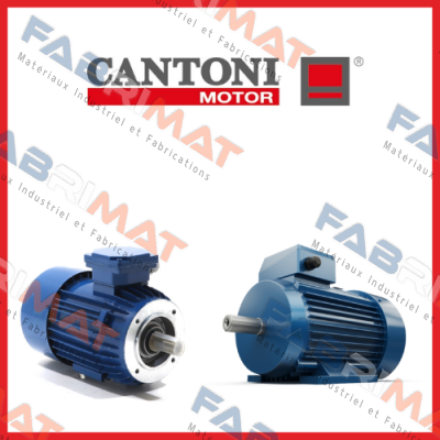 Cantoni logo