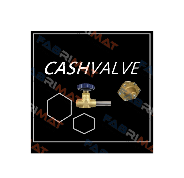 Cash Valve logo
