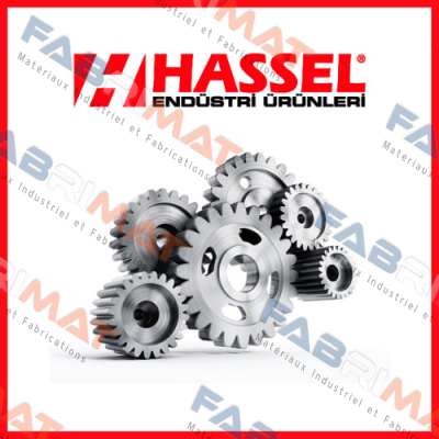 Hassel logo