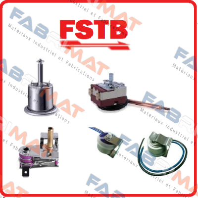 FSTB - Foshan Tongbao logo