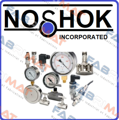 Noshok logo