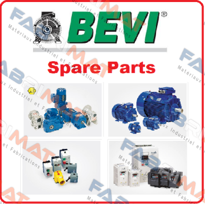Bevi-2SLG 200L-4 price
