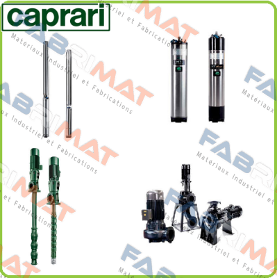 CAPRARI-Nut for NC 200 – 315  price