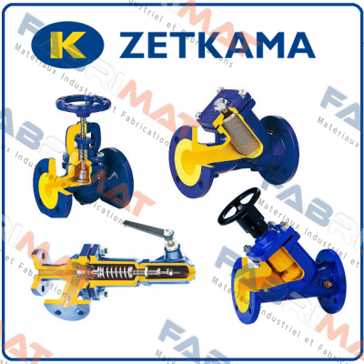 Zetkama-821A-250-C-48  (DN300, PN16) price