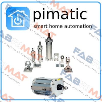 Pimatic-100E P2520-80/25-160 price