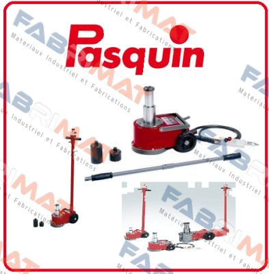 Pasquin-P105 price