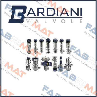 Bardiani Valvole-BBZK -L TYPE DN80 price