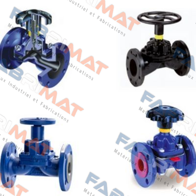 Saunders-TYPE A DN80 price