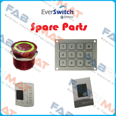 Everswitch-10202500 price