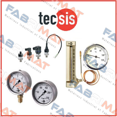Tecsis (WIKA Group)-P1444B074001  100 mm 0..6 bar G 1/2 B  price