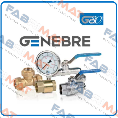Genebre-2010 02 (15 pcs. package) price
