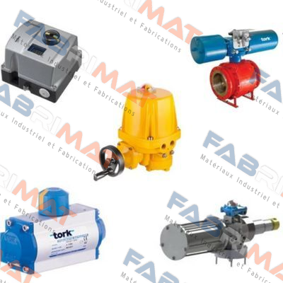 Tork-S6030.08 price