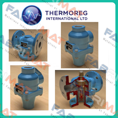 Thermoreg-Declaration of Conformity (PED price