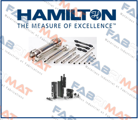 Hamilton-242567 price