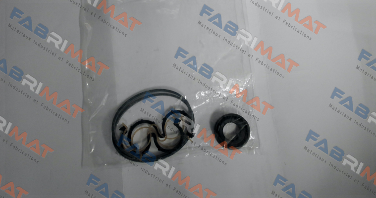 Caproni-seal kit for 10A5X026 price