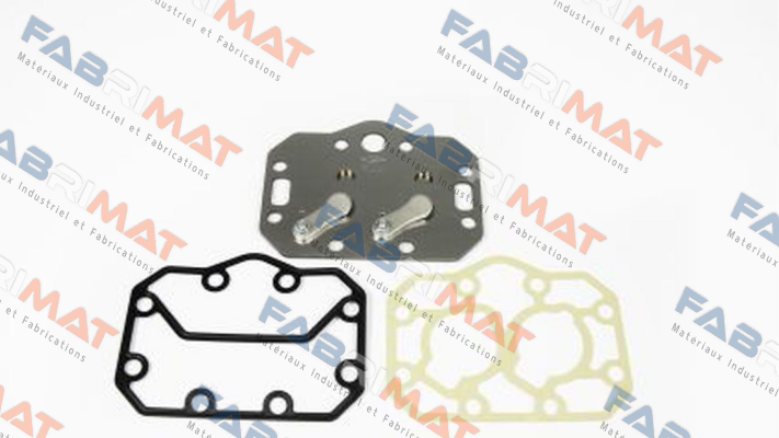 Bitzer-304 059 07 (101.380657) price