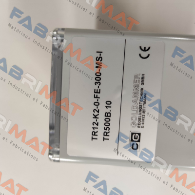 Goldammer-TR 12-K2-0-FE-300-MS-I price
