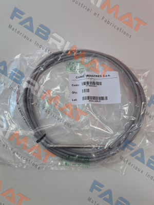 Carel-PT100000A1 price
