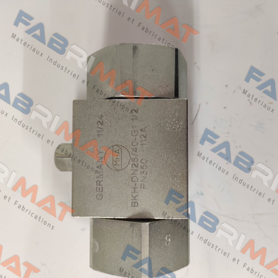 Mha Zentgraf-BKH-DN25/40-G1 1/2 (25357) price