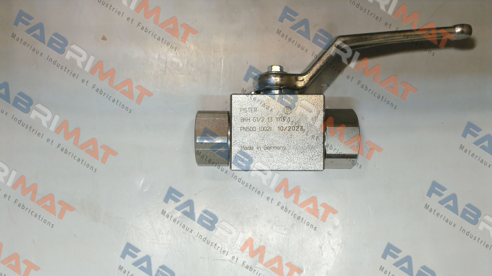 Pister-BKH G1/2 13 1113 1 PN500 (040-013-002) price