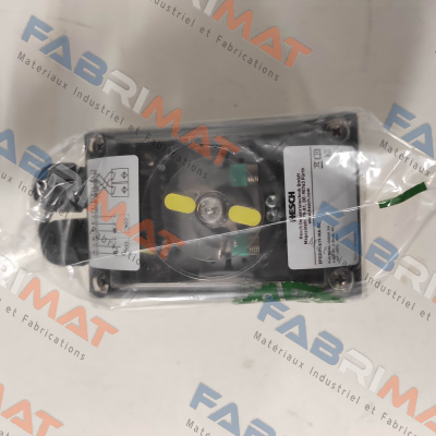 Hesch-EPE2I01-619-MA-OC price