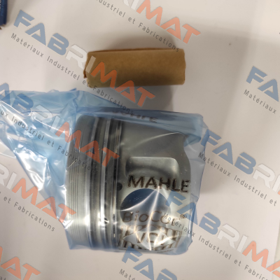 MAHLE-029 82 00 price