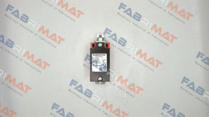 Bernstein-6021117029 / GC-U1Z RIW price