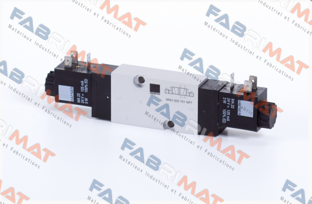 Hafner-MNH 520 701 NPT price