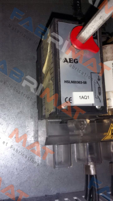 AEG-HSLN00363-58  price