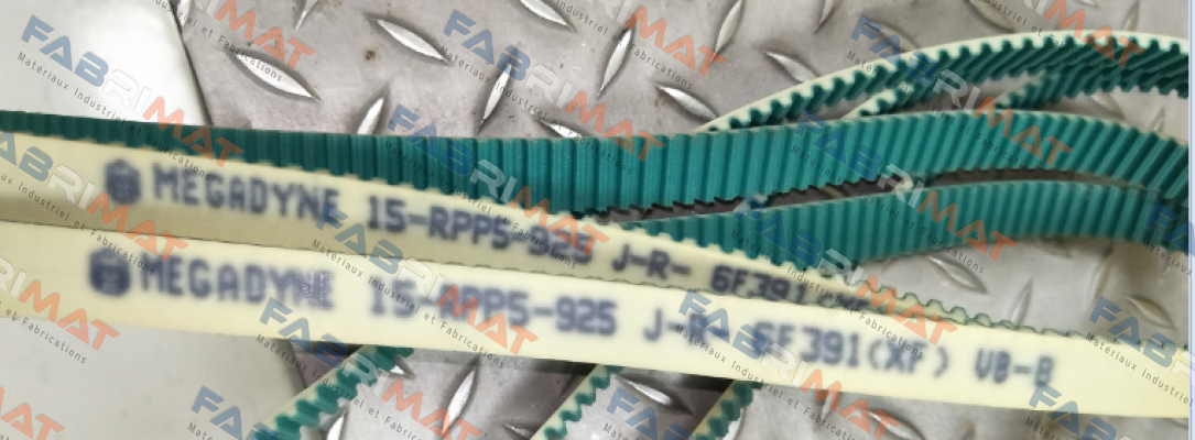 Megadyne-15 RPP5 925 +NFT  price