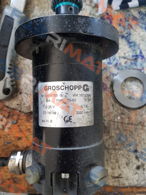 Groschopp-Typ: PM5 70-60, 36 V DC (WK 1619204)  OEM price