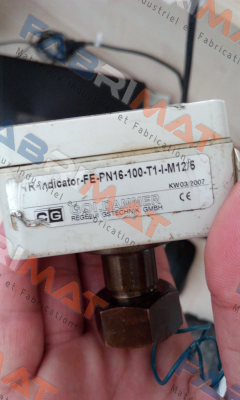 Goldammer-FE-PN16-100-T1-I-M12/5 price