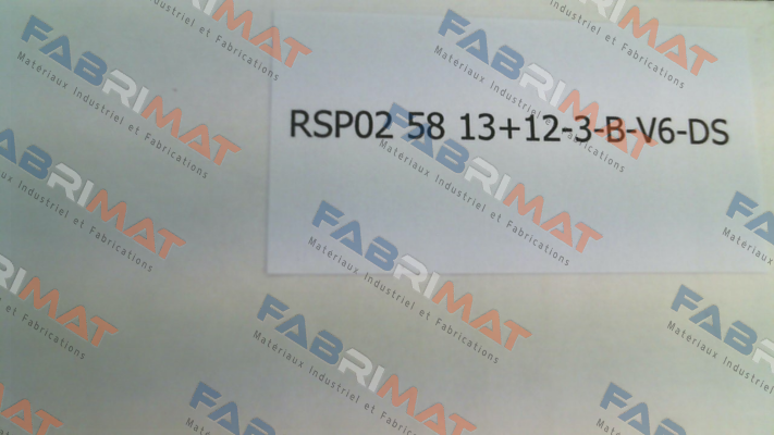 Resatron-RSP02- 58 13+12-3-B-V6-DS (02.12.25231150) price