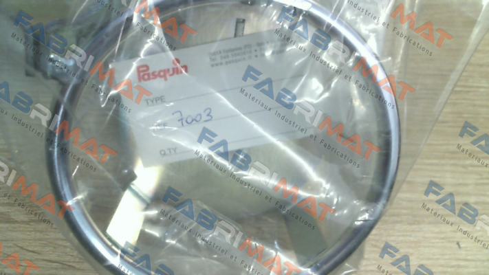 Pasquin-P7003 price