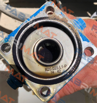 Fluidtech-FE B20.025.L1-P price