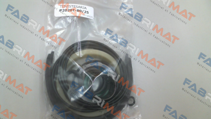 Pimatic-P2020T-80/25 price