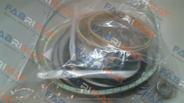 Pasquin-P302EX-DS price