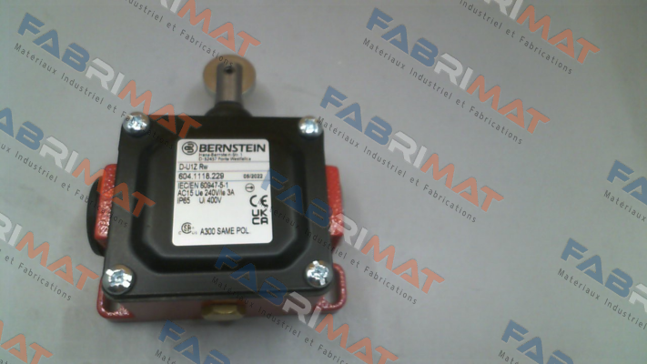 Bernstein-6041118229 / D-U1Z RW price