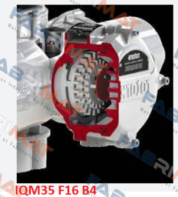 Rotork-IQM35 F16 B4  price