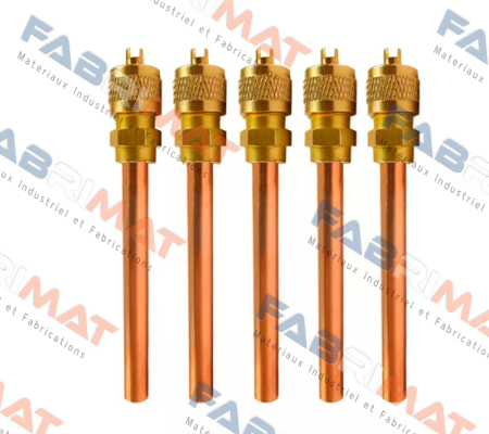 Schrader-1/4" price