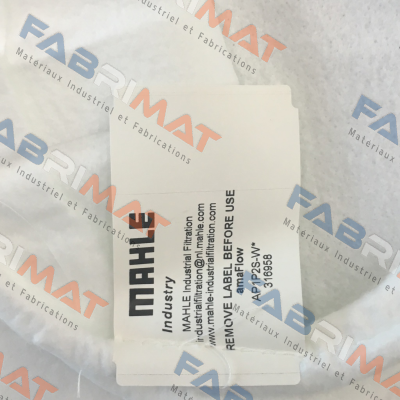 MAHLE-PPSG-001-WS-SS2 (0001) price