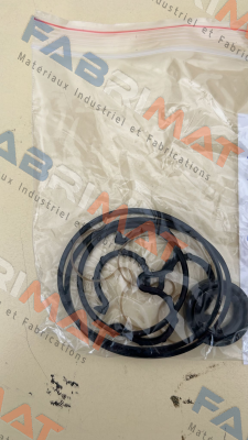 Caproni-Seal kit for 20C15X006F price
