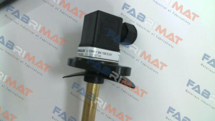 Engler-SSM.1.B4.100.5.S1 (G100743) price