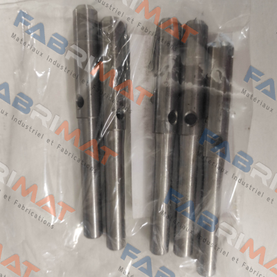 Pasquin-P0145 price